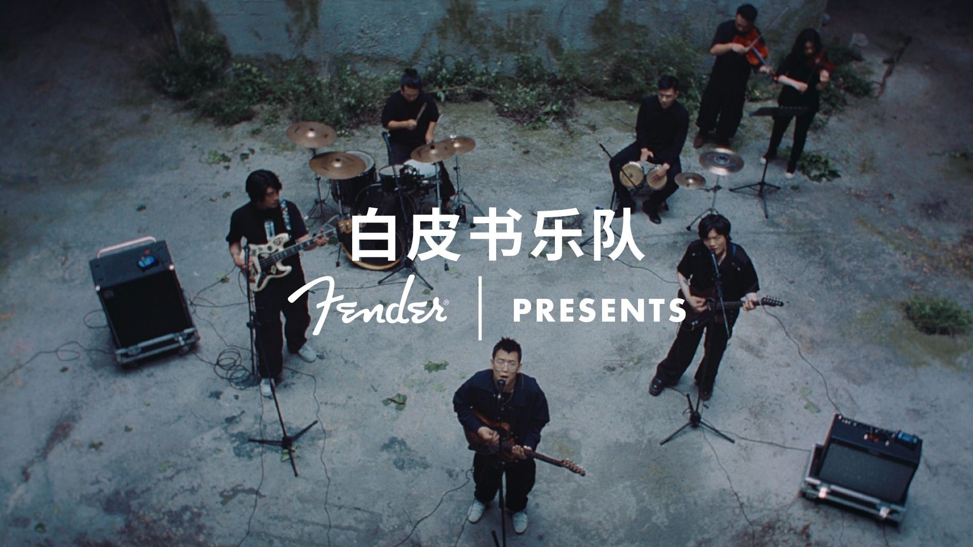 Fender Presents - 白皮书乐队